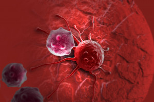Rychlejší a cílenější léčba rakoviny? Doktorandka z CEITEC zkoumá speciální nanonosiče