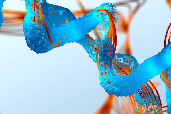 Lék na rakovinu? Boj s krizí klimatu? Ptejte se datových vědců