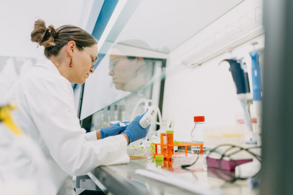 Kmenové buňky jsou mozkem nádoru!