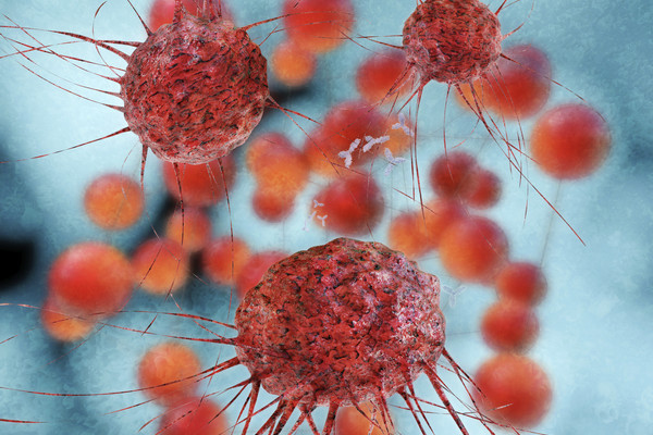 Představení Sekce precizní onkologie ČOS